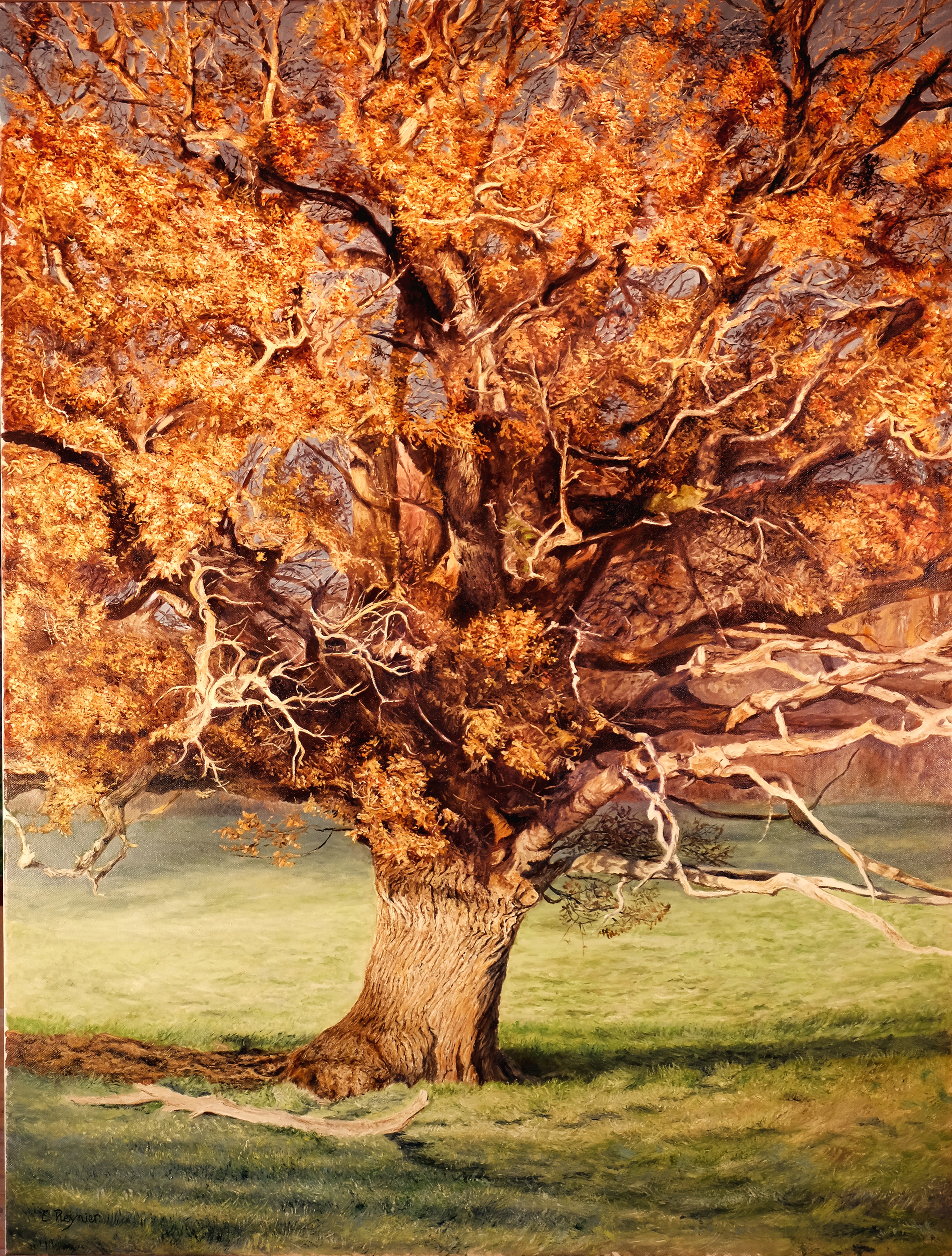 2025 REYNIER Huile sur toile Le vieux chêne, soir d'automne 130X97