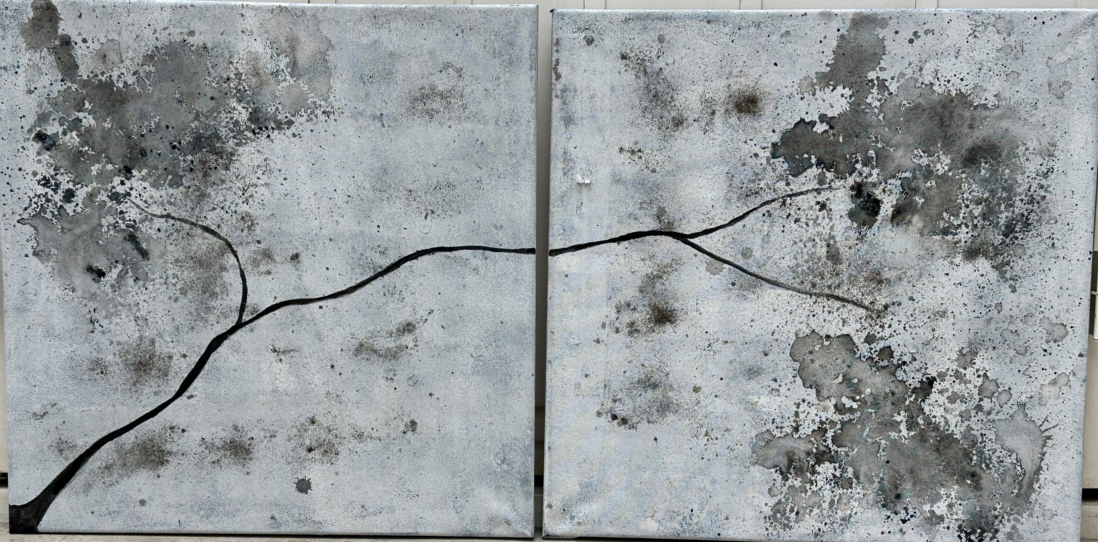 2025 SAKURA DUO K 2x (50X50 cm)