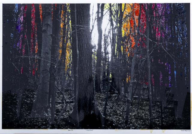 4.20pm Miracle 70 x 100 cm